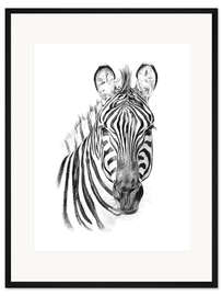 Gerahmter Kunstdruck Zebra-Skizze