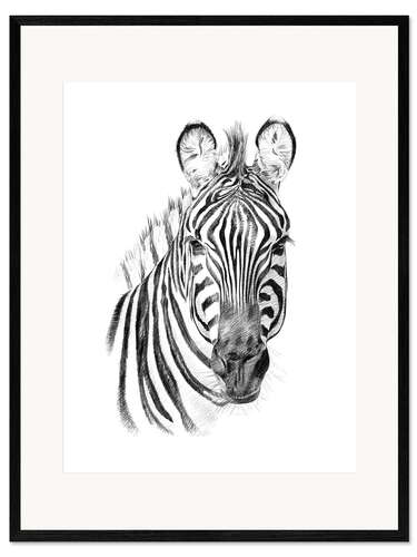 Kunsttryk i ramme Zebra sketch