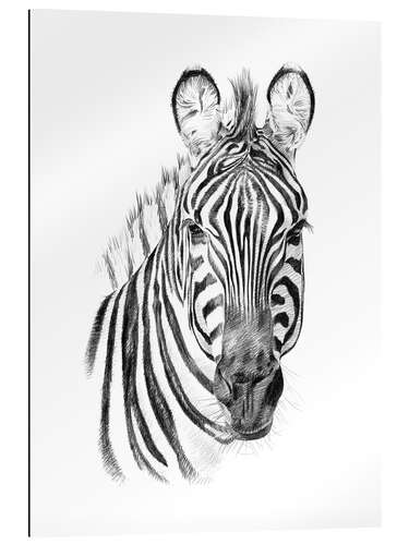 Gallery print Zebra Sketch