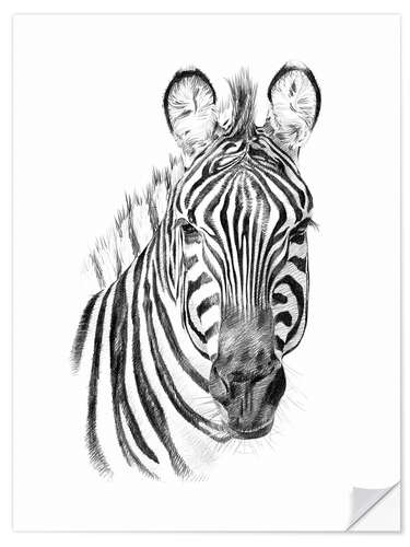 Selvklebende plakat Zebra sketch