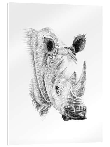 Gallery print Rhino sketch