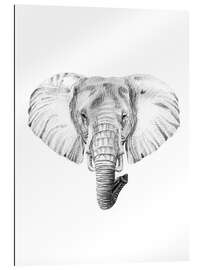 Gallery print Elephant Sketch