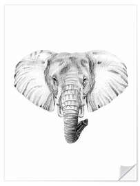 Naklejka na ścianę Elephant Sketch