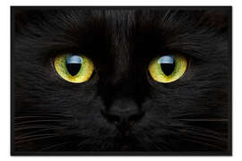 Gerahmter Kunstdruck Katzenaugen