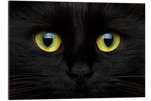 Galleriprint Cat's Eye