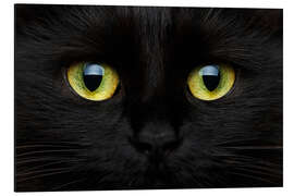 Magnettafel Katzenaugen