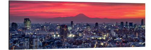 Alumiinitaulu Tokyo panorama with mountain Fuji