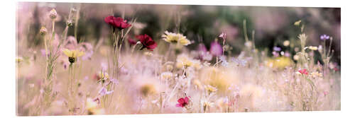 Akrylbilde Panorama of a wildflower meadow I