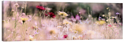 Canvas print Panorama of a wildflower meadow I