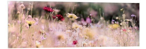 Foam board print Panorama of a wildflower meadow I