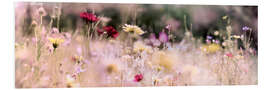 Print på skumplade Panorama of a wildflower meadow I