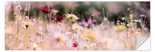 Selvklebende plakat Panorama of a wildflower meadow I