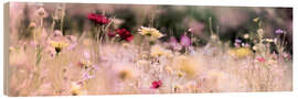 Wood print Panorama of a wildflower meadow I