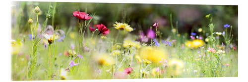 Akrylglastavla Panorama of a wildflower meadow II