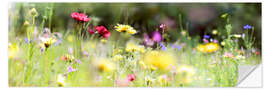 Selvklebende plakat Panorama of a wildflower meadow II