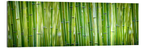 Gallery print Bamboo