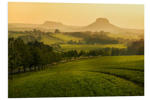 Foam board print Saxon Switzerland with Lilienstein