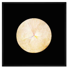 Gerahmter Kunstdruck Der Schwan, Nr. 14