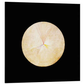 Magnettafel Der Schwan, Nr. 14