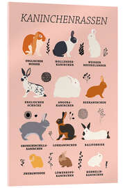 Acrylglas print Rabbit Breeds (German)