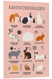 PVC print Rabbit Breeds (German)