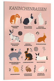 Gallery print Rabbit Breeds (German)