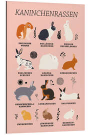 Magnettafel Kaninchenrassen