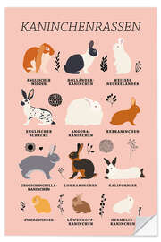 Naklejka na ścianę Rabbit Breeds (German)