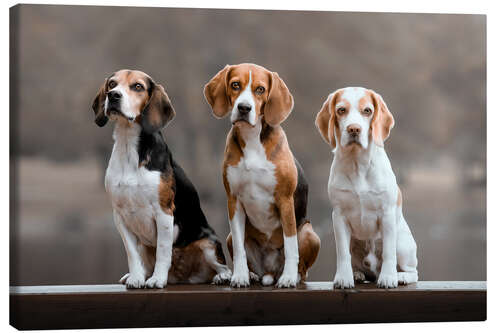 Lærredsbillede Beagles Trio