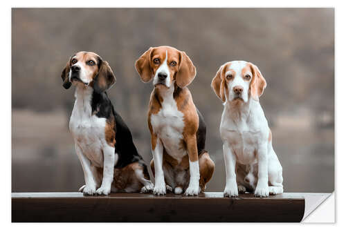 Wandsticker Beagles-Trio