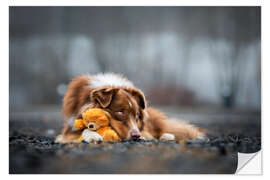 Selvklebende plakat Australian Shepherd with Teddy