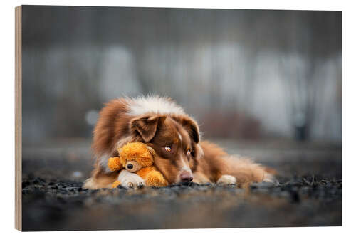 Holzbild Australian Shepherd mit Teddy