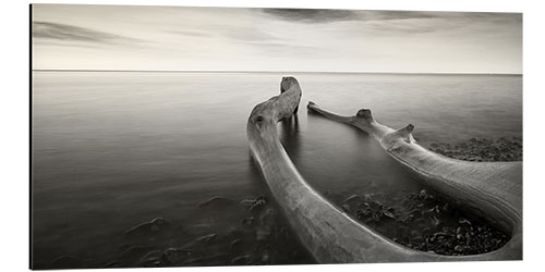 Tableau en aluminium Repos au bord de la mer