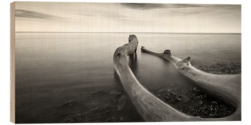 Holzbild Erholung am Meer