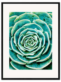 Inramat konsttryck Succulents 2