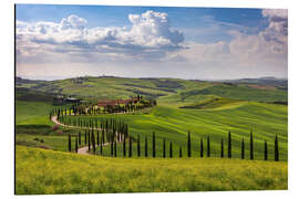 Alumiinitaulu Spring in Tuscany