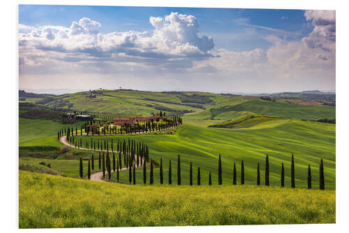 Foam board print Spring in Tuscany