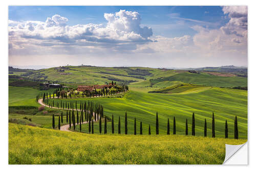 Vinilo para la pared Primavera en la toscana