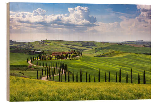 Stampa su legno Primavera in Toscana