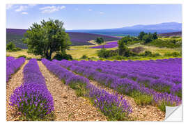 Wandsticker Lavendelfelder der Provence