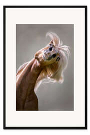 Gerahmter Kunstdruck Was guckst du?!