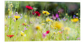 Foam board print Wildflower meadow in bloom