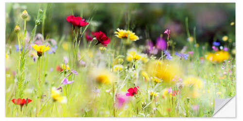 Wall sticker Wildflower meadow in bloom