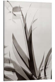 Aluminium print Leaves 1