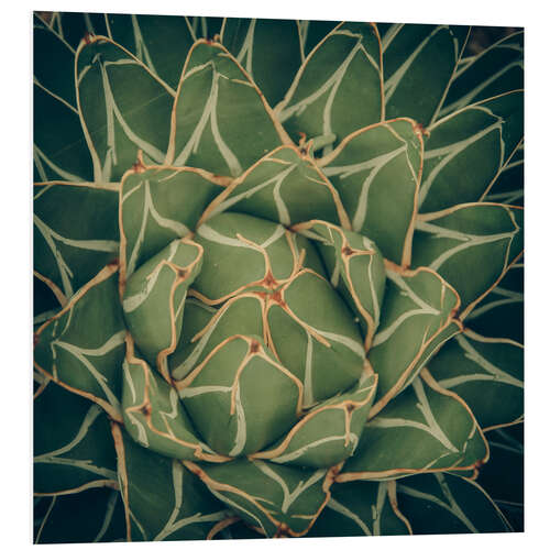 PVC-taulu Agave