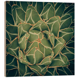 Hout print Agave