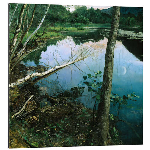 Aluminium print Summer night