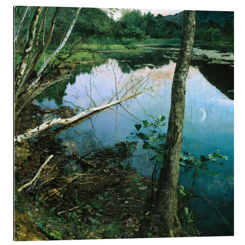 Quadro em plexi-alumínio Noite de Verão
