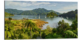 Aluminium print Marlborough Sound