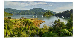 Foam board print Marlborough Sound